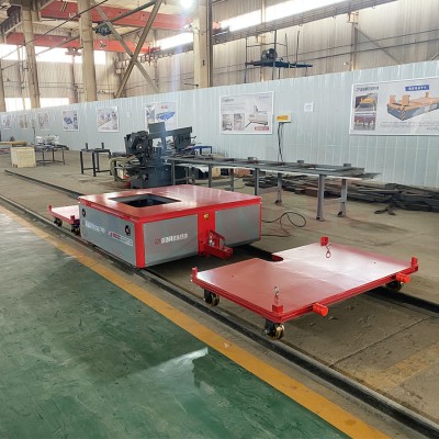 2 טון טון מסלול אוטומטי RGV